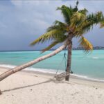 viber_image_2024-05-17_14-24-26-244